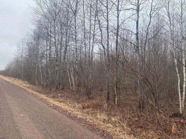 Land for sale in Ogema, Wisconsin