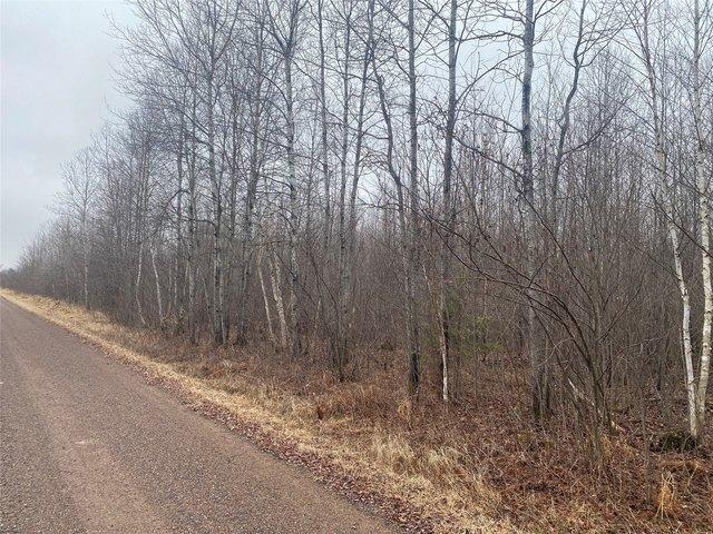 Land for sale in Ogema, Wisconsin