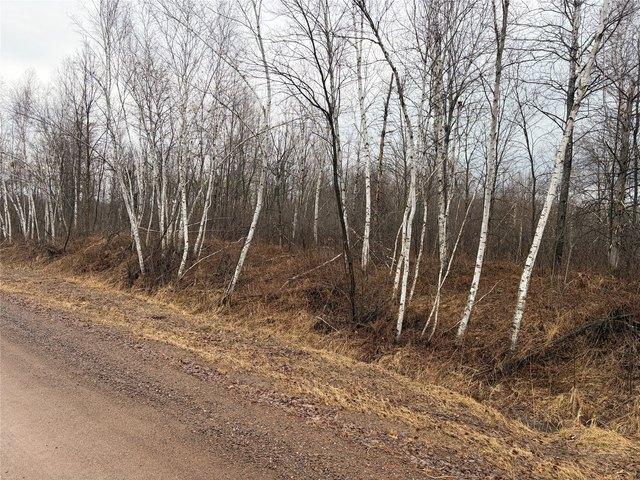 Land for sale in Ladysmith, Wisconsin