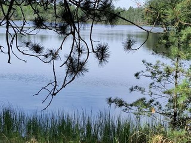 Land for sale in Rhinelander, Wisconsin