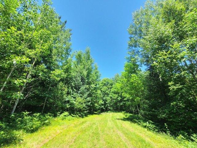 Land for sale in Fifield, Wisconsin