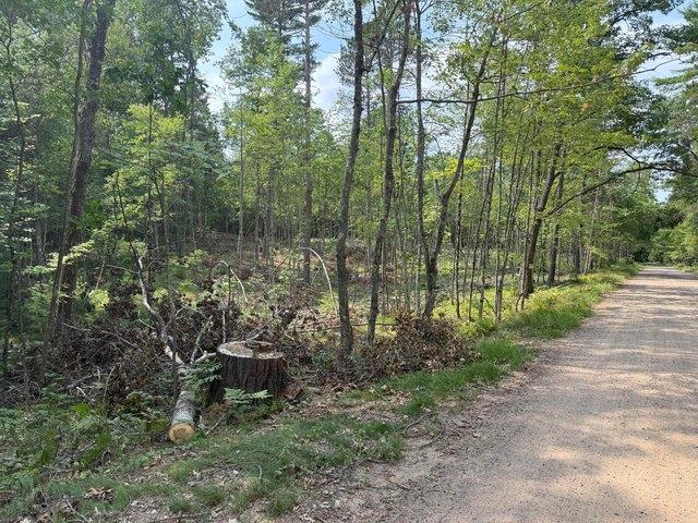 Land for sale in Vilas, Wisconsin