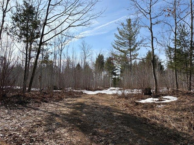 Land for sale in Park Falls, Wisconsin