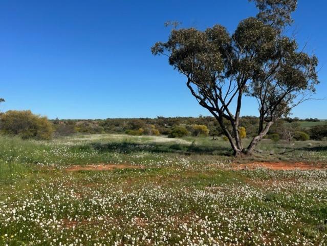 Cottage for sale in Ambania, Western Australia