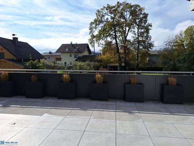 Wohnung mieten in Wals, Wals-Siezenheim