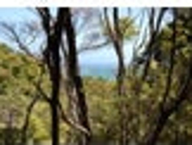 Land for sale in Great Barrier Island