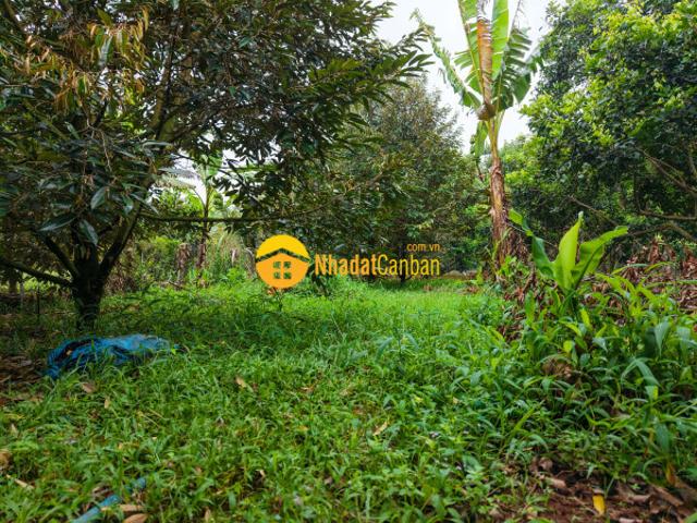 Mặt bằng bán
