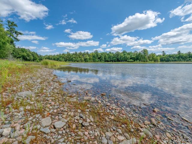 Land for sale in Michigan
