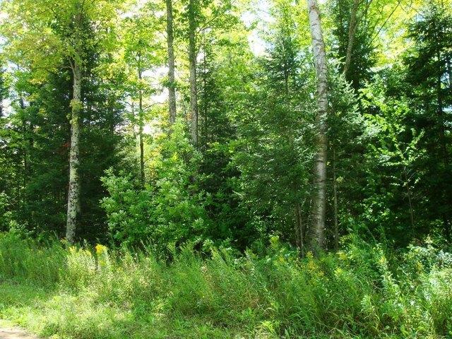 Land for sale in Rhinelander, Wisconsin