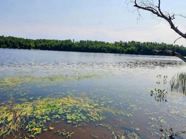 Land for sale in Vilas, Wisconsin