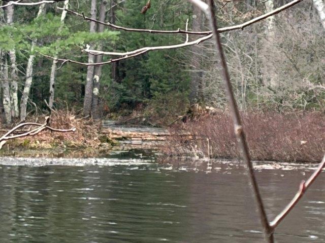 Land for sale in Tomahawk, Wisconsin