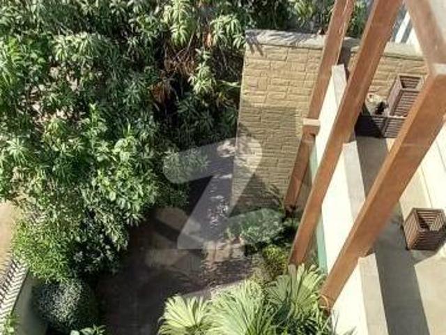 House for rent in North Waziristan, Federally Administered Tribal Areas fata