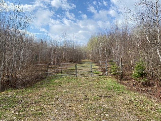 Land for sale in Phillips, Wisconsin
