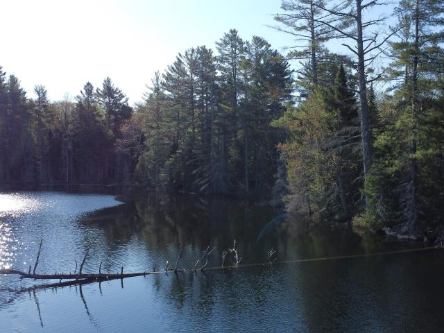 Land for sale in Michigan