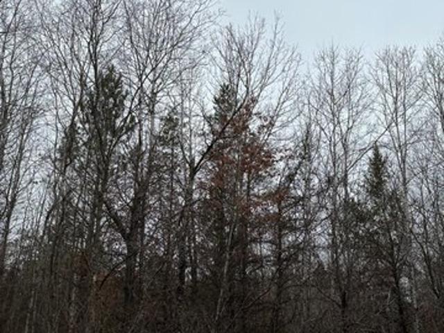 Land for sale in Tomahawk, Wisconsin