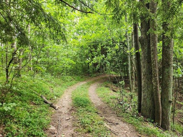 Land for sale in Wisconsin