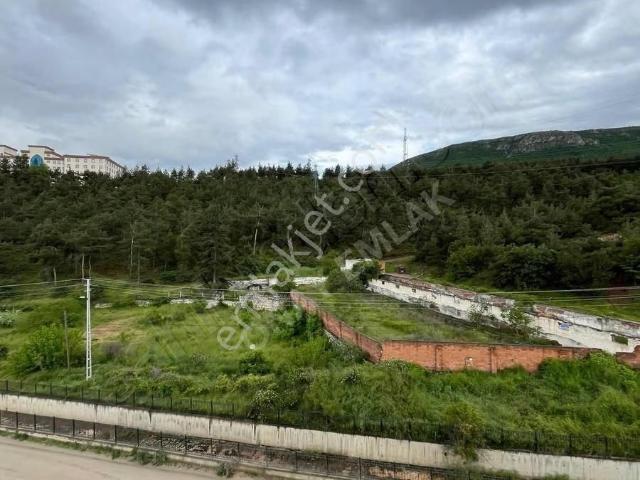 Amasya içerisinde kiralık mülk