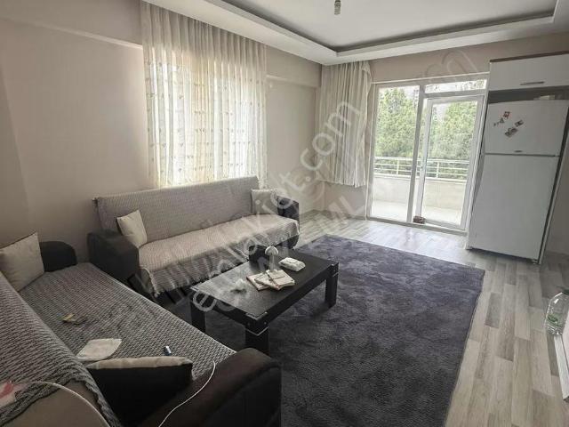 Şeyhcui, Şeyhcui Mahallesi içerisinde kiralık mülk