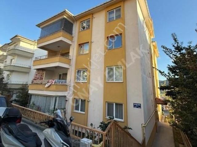 Şeyhcui, Şeyhcui Mahallesi içerisinde kiralık mülk