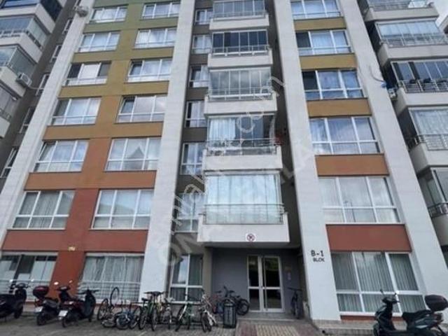 Amasya Merkez, Amasya içerisinde kiralık mülk