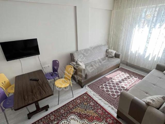 Amasya içerisinde kiralık mülk