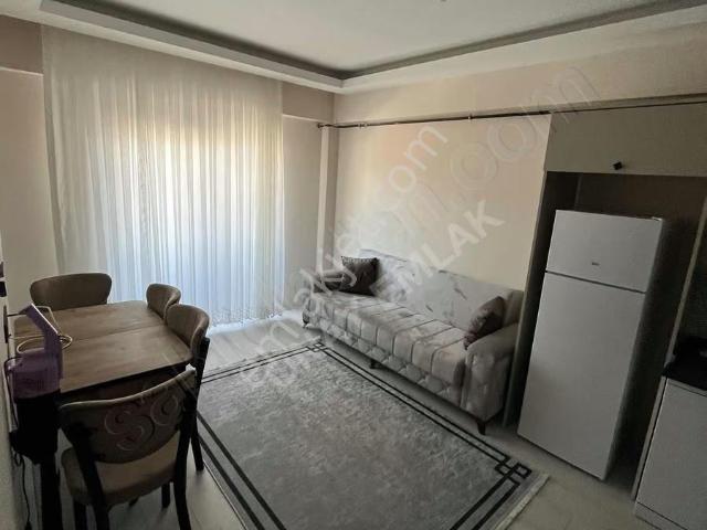 Şeyhcui, Şeyhcui Mahallesi içerisinde kiralık mülk