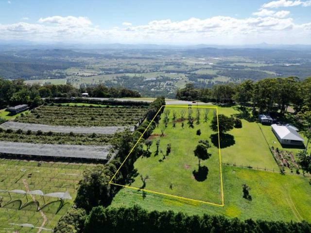 Land for sale in Tamborine Mountain Land for sale in Tamborine Mountain