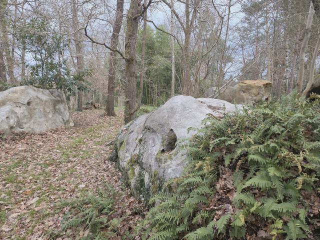 Terrain vente à Fontainebleau, Noisy-sur-ecole