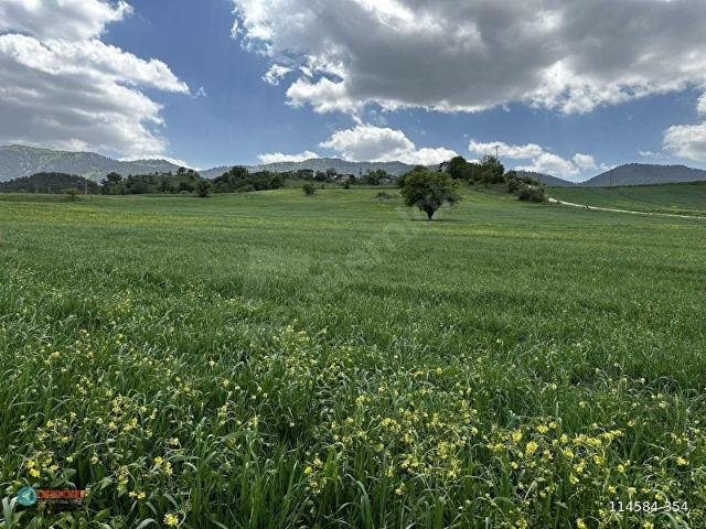 Mudurnu, Bolu içerisinde satılık Arsa