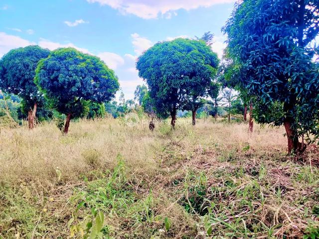 Land for sale in Maragwa, Murang'a