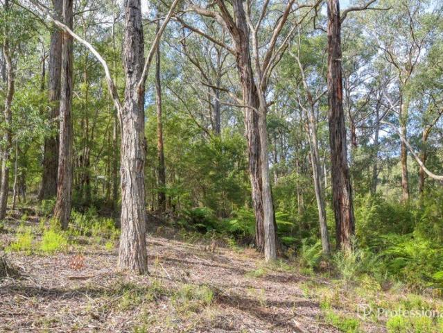 Land for sale in Camerons Creek, Victoria