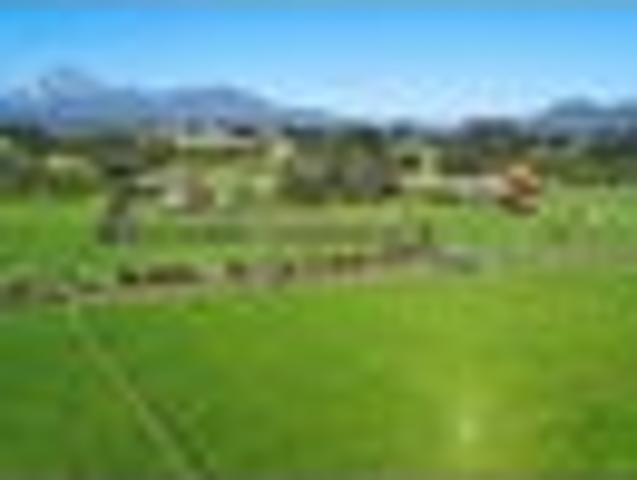 Land for sale in Hillsborough, Taranaki