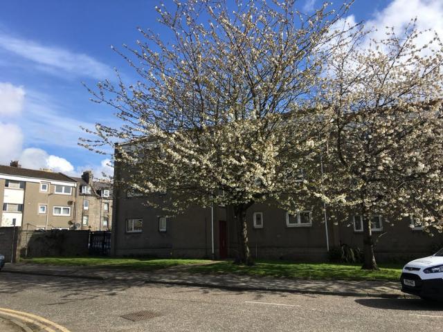 Apartment for rent in Gilcomston, Ballindoch