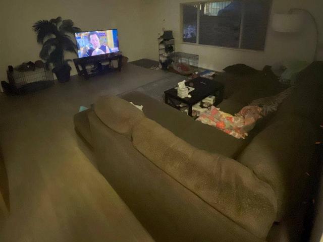 Room for rent in Whitman, Washington