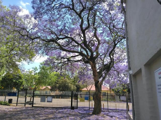 Apartment for rent in Hatfield, Pretoria