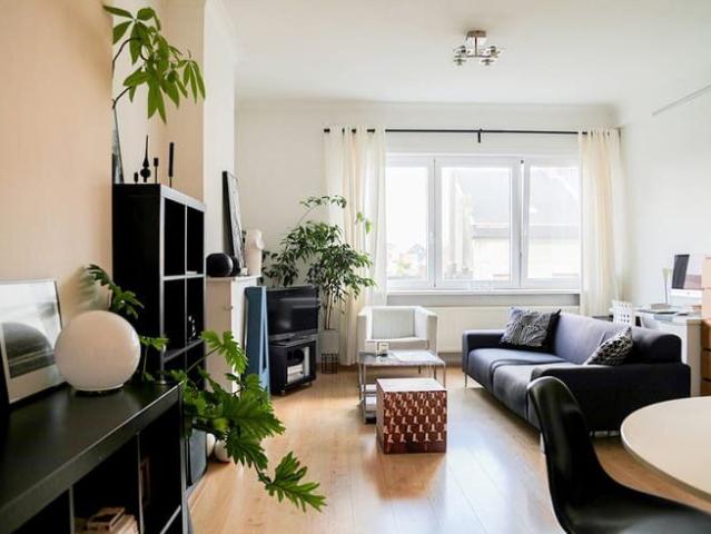 Kot location à Antwerpen