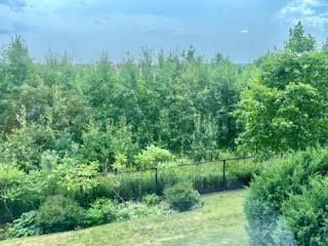 Apartment for rent in Milton, Golden Horseshoe