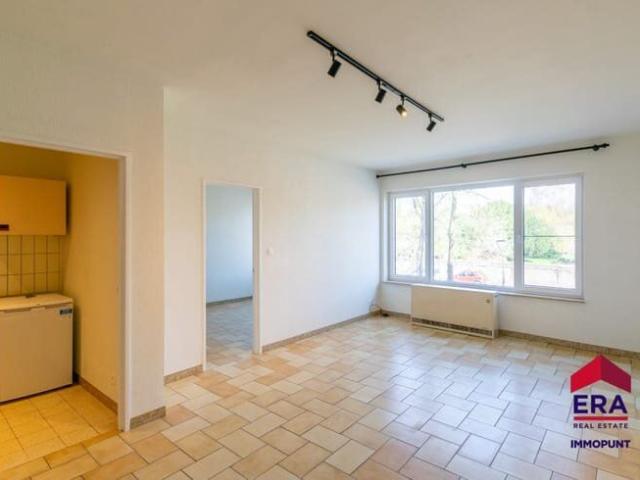 Kot location à Tienen, Brabant