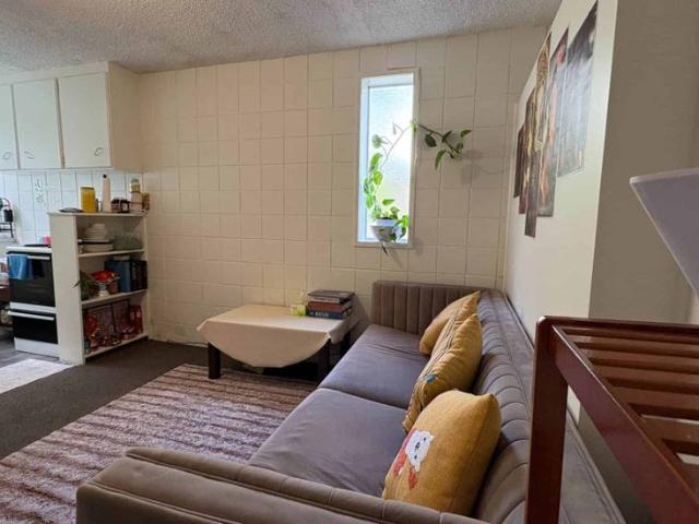 Apartment for rent in Mount Eden Village, Albert-Eden