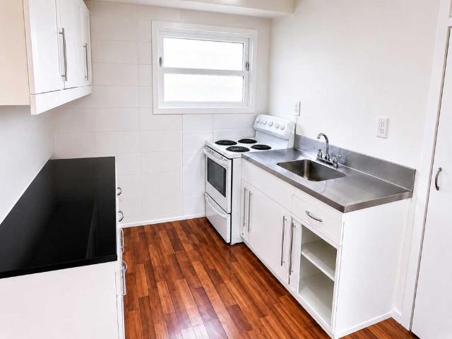 Apartment for rent in Balmoral, Albert-Eden