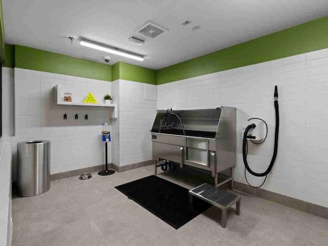 Apartment for rent in New Westminster, British Columbia