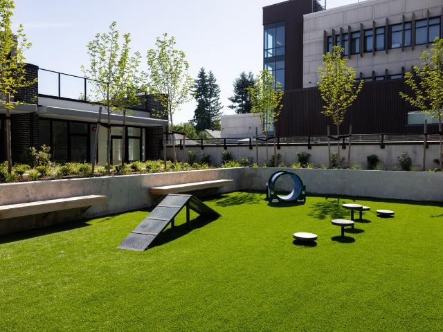 Apartment for rent in New Westminster, British Columbia