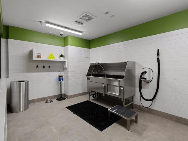 Apartment for rent in New Westminster, British Columbia