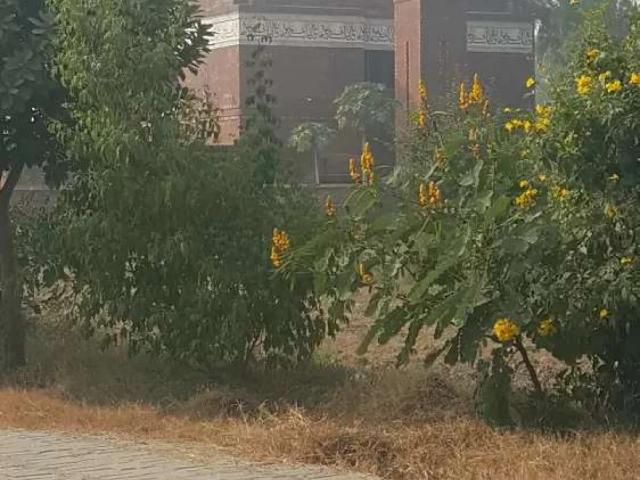 Land for sale in نتھا سنگھ والا, لاہور ڈویژن