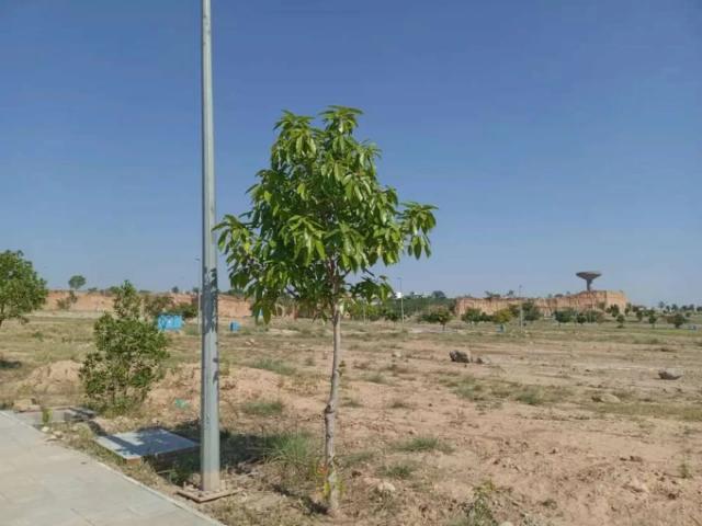 Land for sale in DHA Phase 2, Zone 5