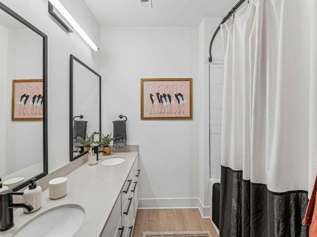 Apartment for rent in Mecklenburg, North Carolina