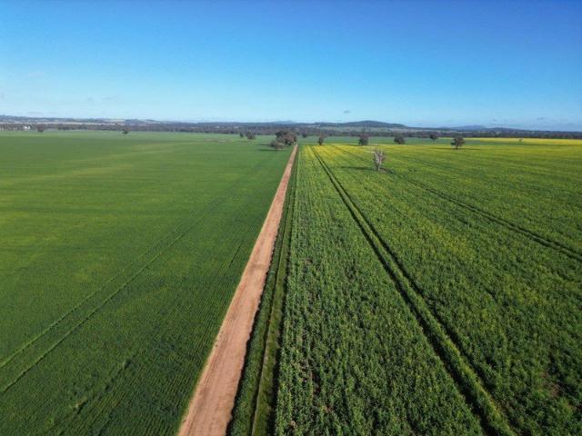 Property for sale in Grenfell, New South Wales