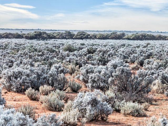 Property for sale in Kimba, South Australia