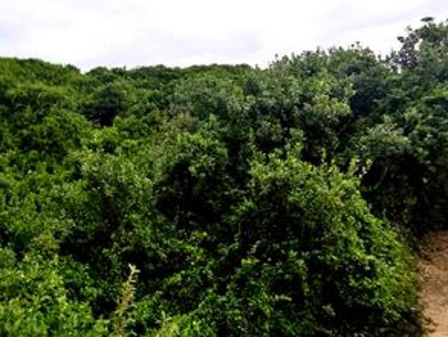Land for sale in Groot Brak Rivier, Western Cape