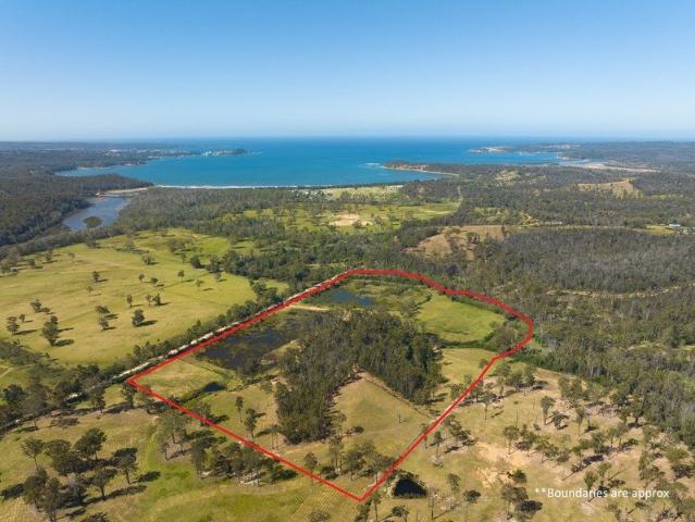 Land for sale in Nethercote, New South Wales